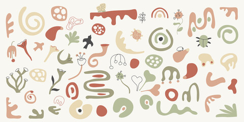 Poster - Decorative fairytale floral and herbal shapes set.