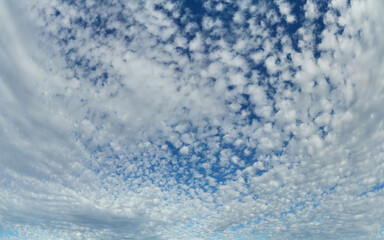 beautiful landscape view of a deep blue white puffy sky, rouse hill regional park, rouse hill, new s