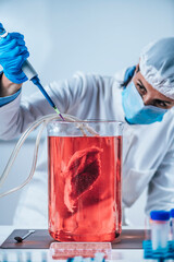 Lab-Grown Meat or in Vitro Meat