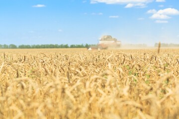 Poster - Agriculture.