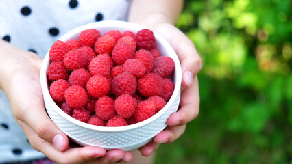 Fresh sweet raspberries in the white ceramic bowl in the kid hands near green plants background. Organic Raspberry. Healthy breakfast, vegan vegetarian diet. Fresh farm berries