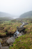 Fototapeta  - górski strumień przy szlaku turystycznym