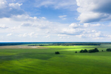 Summer Aerial View Of Green Field Among Forest And Single Trees In   Cloudsday. Blue Horisont. A Lot Of White Clounds On Blue Sky. Different Shades Green Color On Field. 