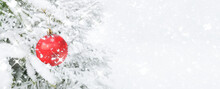 Christmas Banner With Snowy Fir Branches And Red Ball.