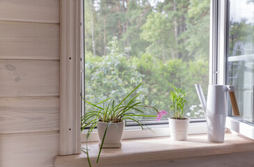 White window with mosquito net in a rustic wooden house overlooking the garden. Houseplants and a watering can on the windowsill.