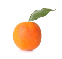 Tasty ripe apricot on white background