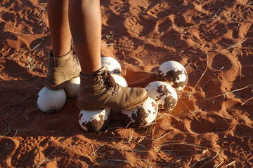 namibia - kalahary - ostrich eggs.
