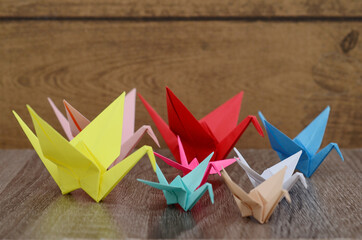 Wall Mural - origami colorful bird papers group
