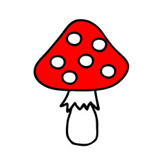 Colored hand-drawn vector illustration of One red fresh mushroom Fly agaric isolated on a white background