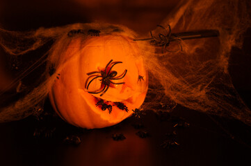 Image of a typical pumpkin for Halloween celebration