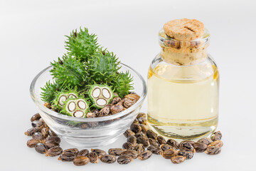 fruits and castor oil in bowl isolated on white background