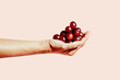 © Gustavo Pozo/ADDICTIVE STOCK - Anonymous person with pile of fresh grapes demonstrating concept of healthy food on pink background in studio