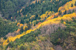 © Juan Lopez/ADDICTIVE STOCK - Picturesque drone view of trees covered in forest on hill slope on cold autumn day in nature