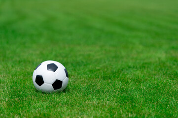  Black and white soccer ball on green soccer pitch. Team sport concept.