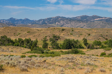 summer landscape in mountains