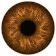 human amber brown eye iris closeup