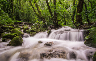 Cascading waterfall and lush green trees in the forest of Shivapuri national Park in Kathmandu Nepal. The waterfall is also the source of drinking water for Kathmandu.