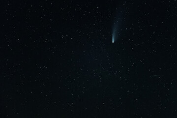 Wall Mural - neowise comet c/2020 f3 (neowise) on starry sky