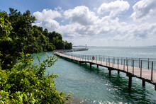 Chek Jawa Broadwalk Jetty, Wooden Platform In Mangrove Forest Wetlands Overlooking Sea On Pulau Ubin Island, Singapore.