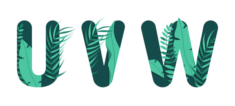 Vector letters U V W of the alphabet. Leaf design.
