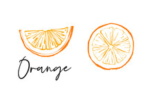 Orange Cut And Orange Circle. Fruit Colorful Line Illustration Elements. Cute Vector Pattern. Cartoon Vintage Tropical Print On White Background