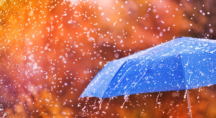 Wall Mural - autumn background with blue umbrella under rain against water drops splash. rainy weather concept.