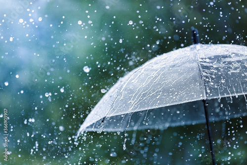 Cuadros en Lienzo Transparent umbrella under rain against water drops splash background