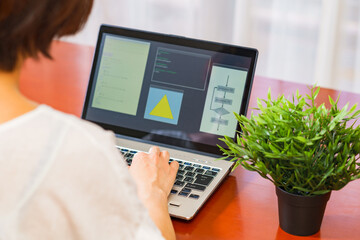 Wall Mural - japanese senior woman engineer debugging source code on remote work