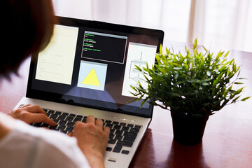 Wall Mural - japanese senior woman engineer debugging source code on remote work