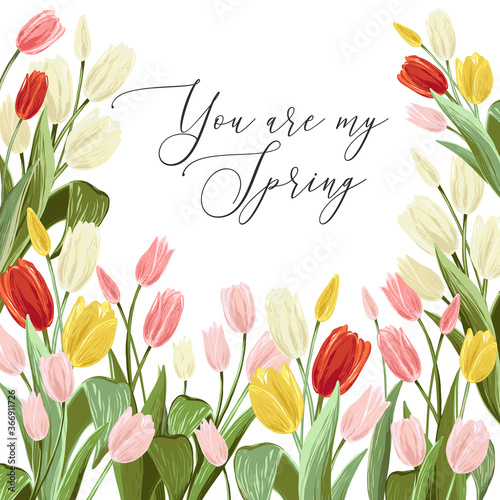 You Are My Spring Quote Pink White Yellow Red Tulips Bouquet Spring Floral Background Print With Blossom Vector Flowers Simple Digital Watercolor Drawing Abstract Illustration Vintage Graphic Stock Vector Adobe Stock