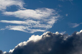 Fototapeta Na sufit - Cumulus dark clouds. Blue sky. Natural background.