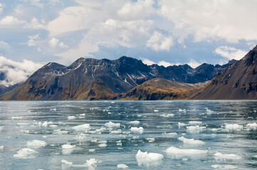 molkte bay, snow covered mountains, south georgia