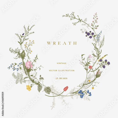 Fotomural Vintage floral vector wreath. Victorian. Flora. Colorful