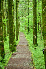 Naklejka na meble a sign of autumn 