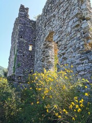 ruins of the castle in the netherlands