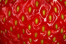 Garden Strawberry (Fragaria Ananassa). Fruit Detail Closeup