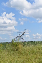 Canvas Print - Farm Irrigation System