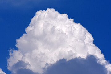 Poster - blue sky with clouds