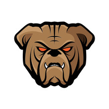 Fierce Bulldog Mascot Vector Illustration