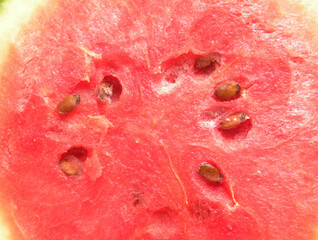 Wall Mural - Cut round cross section detail of red color ripe watermelon