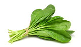 Fototapeta  - Bunch of spinach leaves on isolated white background
