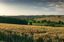 View Over Fields And Rolling Hills In English Countryside During Summer On Sunny Day
