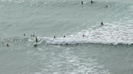 Wall Mural - Aerial view of surfers in the sea. Drone Footage