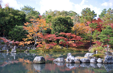 breathtaking view on japanese garden in autumn. beautiful maple trees around the pool with big stone