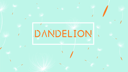 Wall Mural - Vector dandelion festival poster