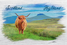 Watercolor Painting Of Highland Cow In Isle Of Skye, Scotland