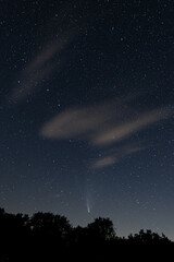 comet neowise