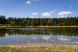 Nassenwieserteich im Sommer, Clausthal Zellerfeld, Harz Nationalpark