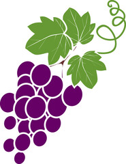 Wall Mural - Ripe bunches of grapes with green leaves isolated on white background. Flat style