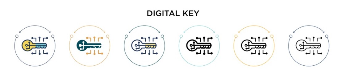 Poster - digital key icon in filled, thin line, outline and stroke style. vector illustration of two colored 